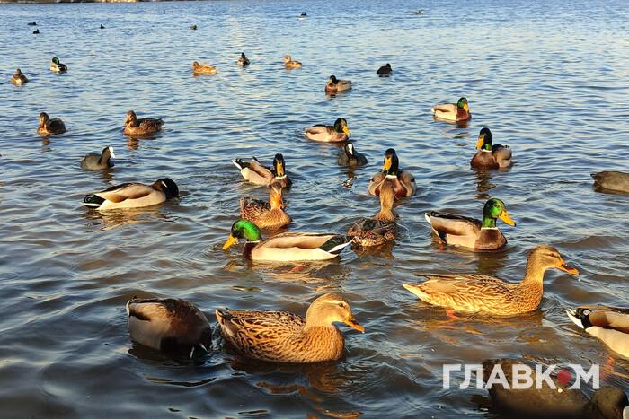 Мінлива хмарність, без опадів: прогноз погоди на 8 березня